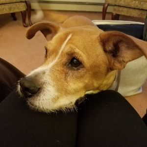 Meet your Posher, Betsy